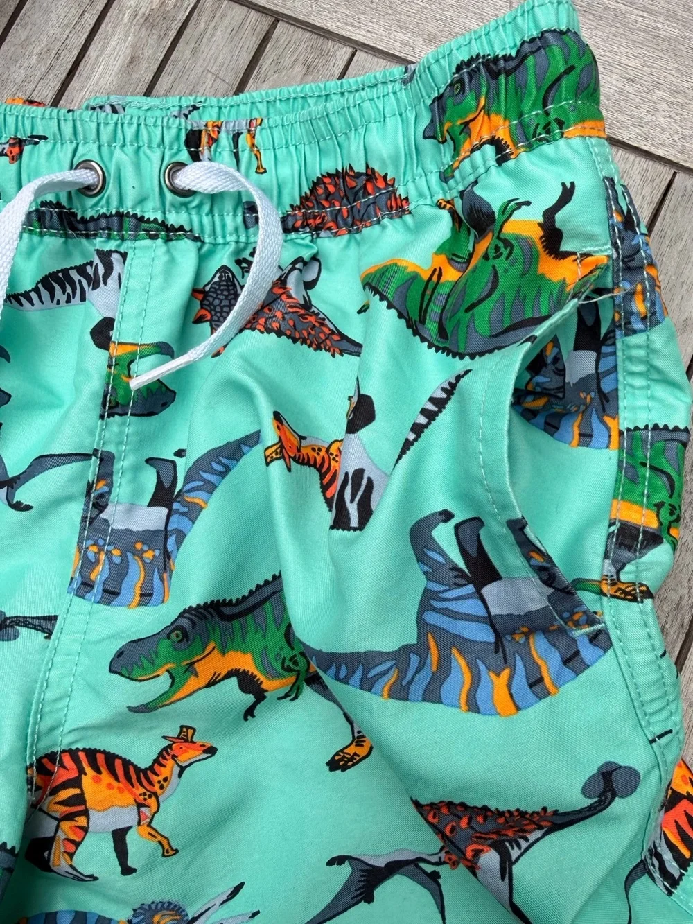 KIDS HANNA ANDERSSON Dinosaur Print Swim Trunks - Aqua - SIZE 10